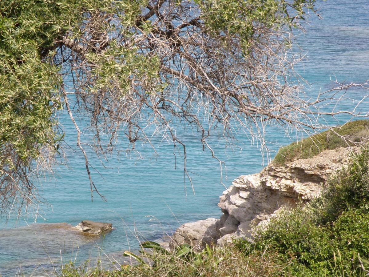 ארכאנגלוס Sea View Holiday House מראה חיצוני תמונה